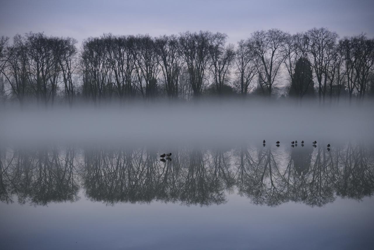 Bed In Versailles - Villa De La Piece D'Eau Des Suisses المظهر الخارجي الصورة